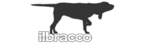 il bracco