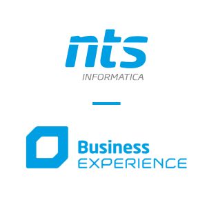 Business Experience