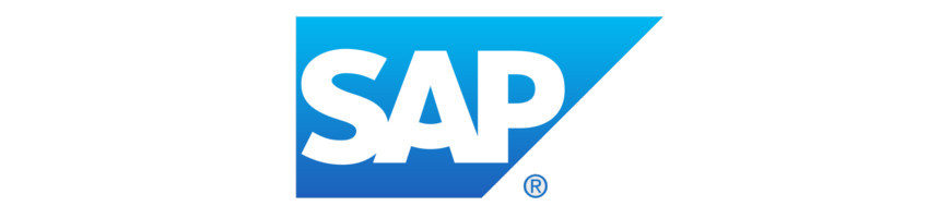 SAP ERP